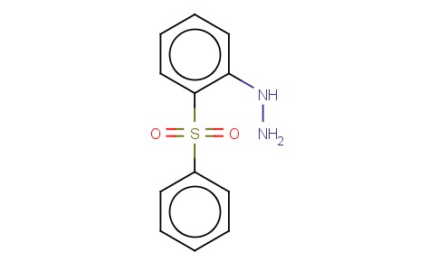 [2-(PHENYLSULFONYL)-PHENYL]-HYDRAZINE